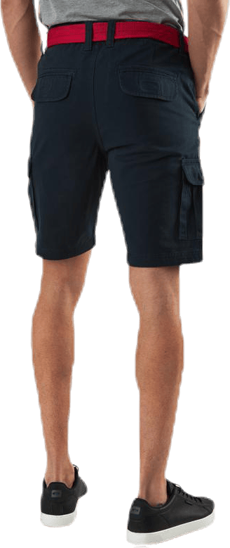 Layton Shorts Blue - Bild 2