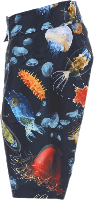 Nalvaro Bathing Shorts Blue/Patterned - Bild 3