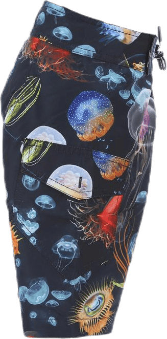 Nalvaro Bathing Shorts Blue/Patterned - Bild 4