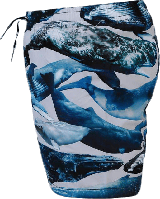 Niko Swim Shorts Blue - Bild 2
