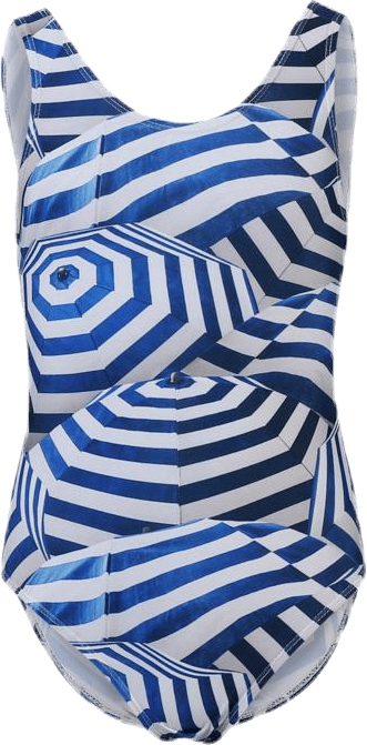 Nika Swimsuit Blue/White