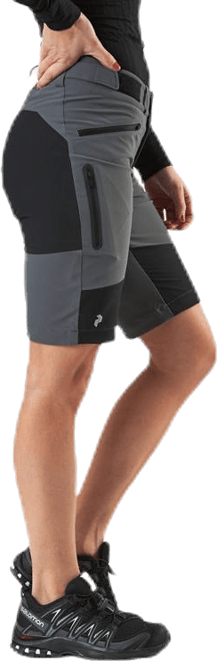 Eclectic Long Shorts Grey - Bild 2