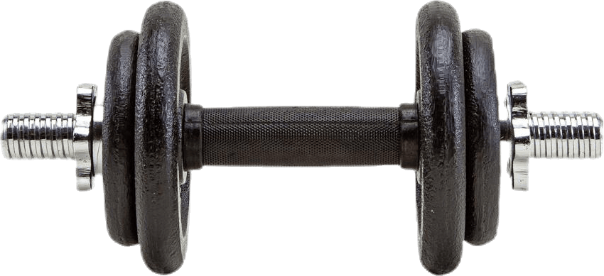Weight Set 20 kg Black, Unisex, Equipo, equipo de entrenamiento, Fitness, Negro, ONESIZE