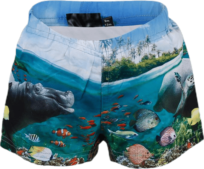 Newton Swim Diaper Blue, Unisex, Apparels, Swimwear, Swimming, Blue, 92