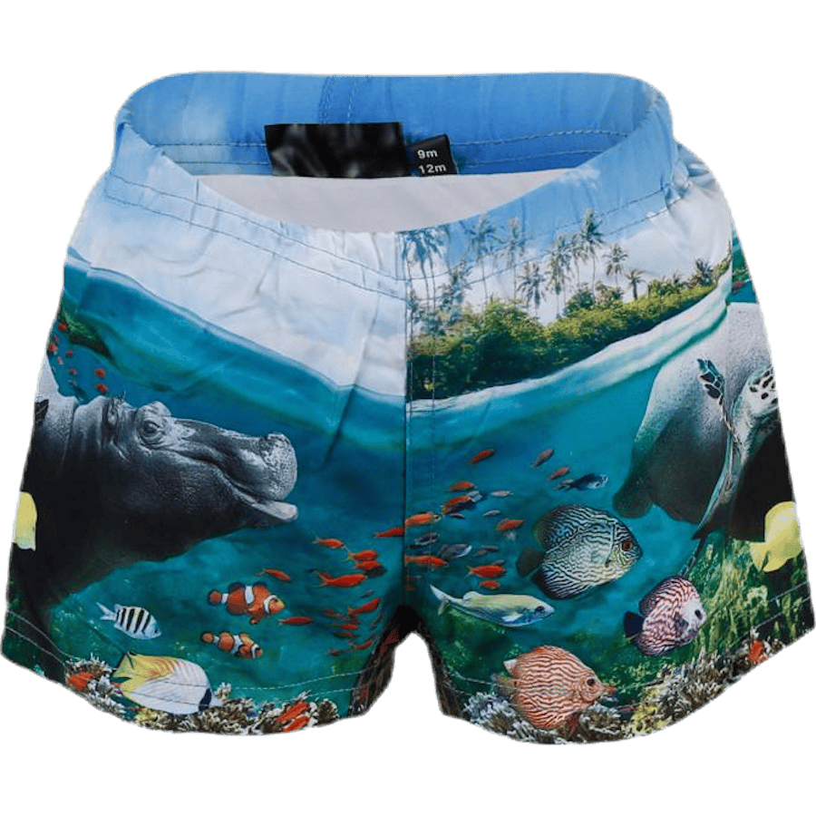 Newton Swim Diaper Blue