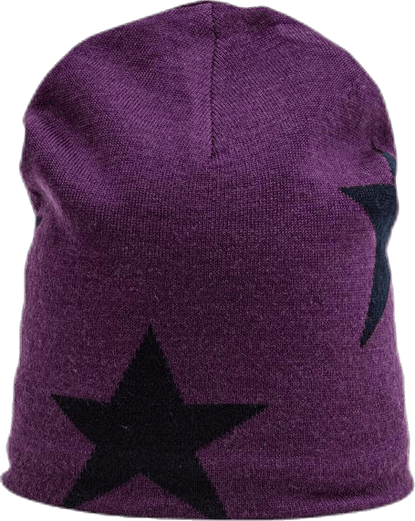 Colder Star Beanie Purple/Black