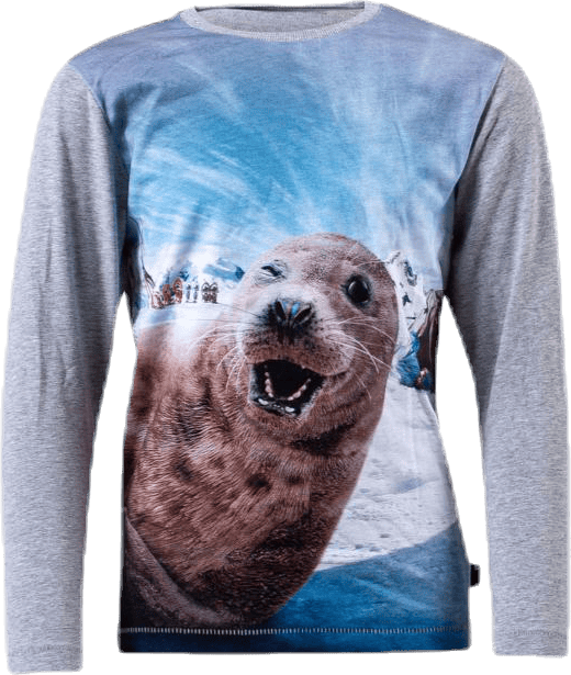 Rexol Seal Wink Grey