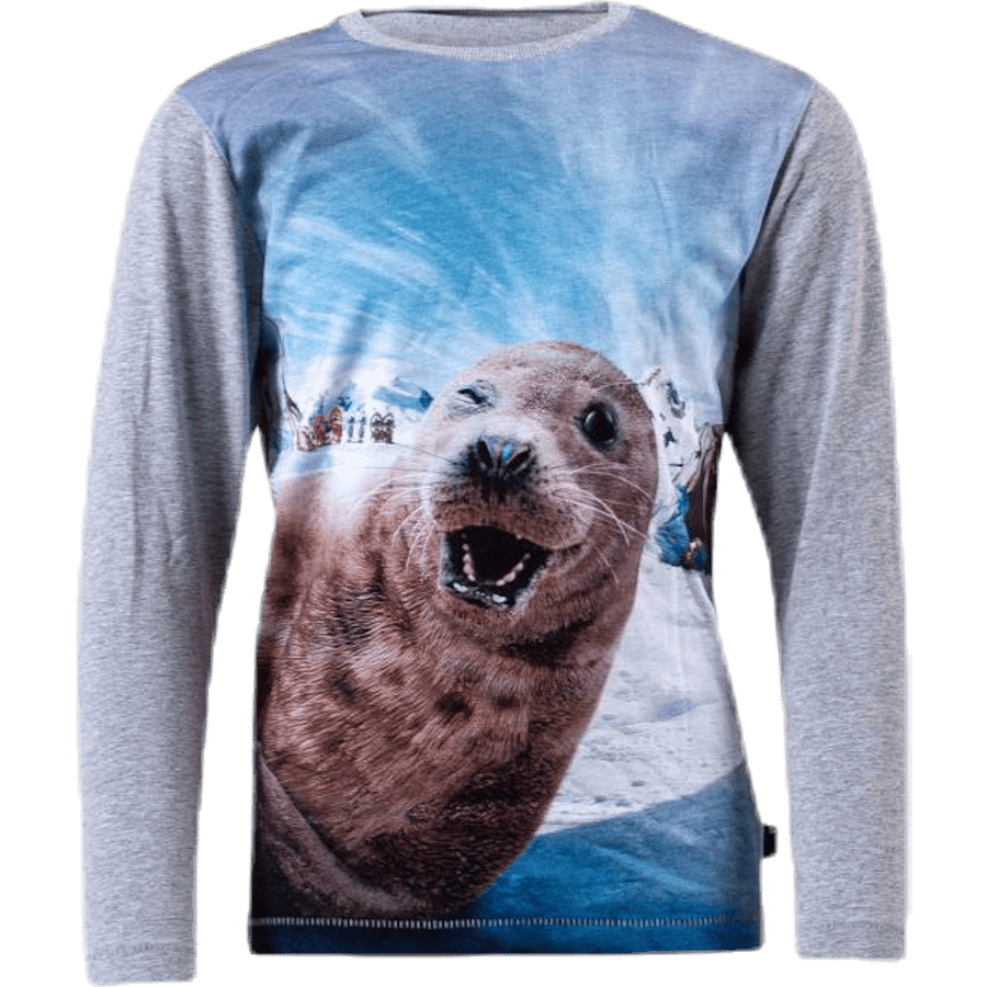 Rexol Seal Wink Grey