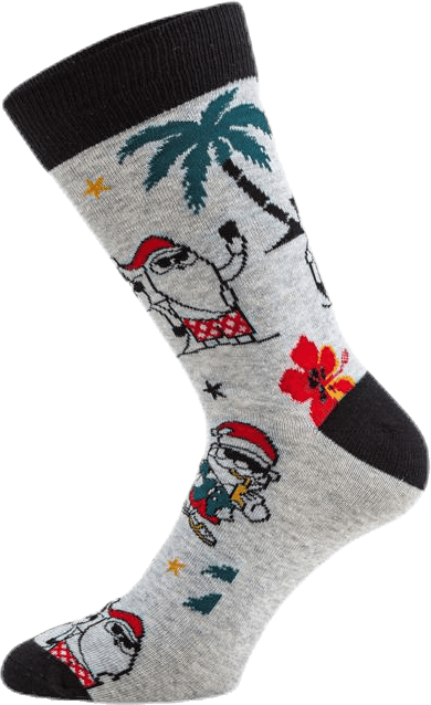 Organic Giftbox Blue