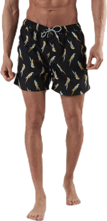 Aruba Swimshorts  Animal Black, Male, Apparels, Swimwear, Black, XXL