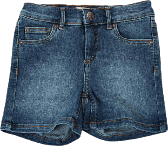 Blush Dnm Shorts Blue