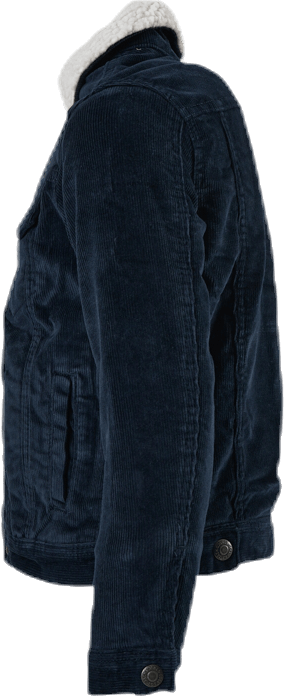 Alvin Sherpa Corduroy Akm555 Junior Blue - Bild 2