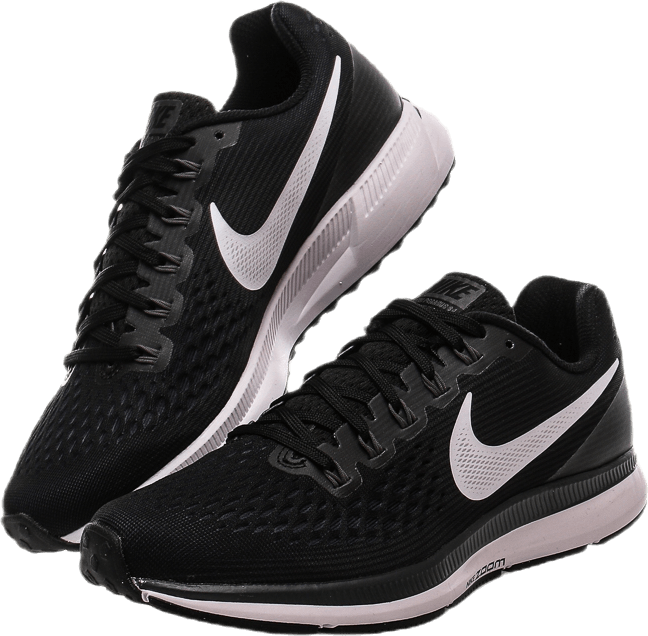 sportamore pegasus 37