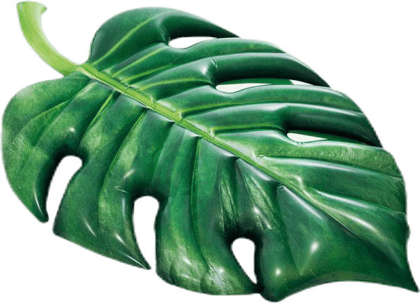 Palm Leaf Mat Green, Unisex, Equipment, toys & games, Green, ONESIZE