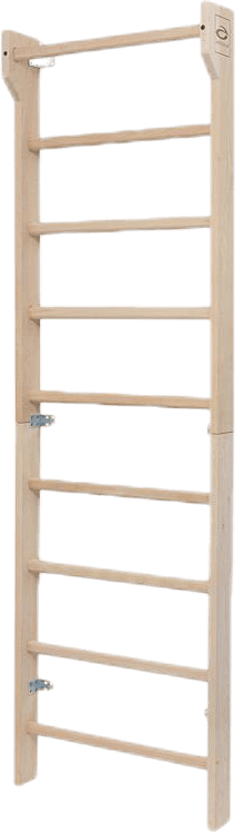 Premium WallBar Beige, Unisex, Utrustning, Skydd, Träning, Beige, ONESIZE