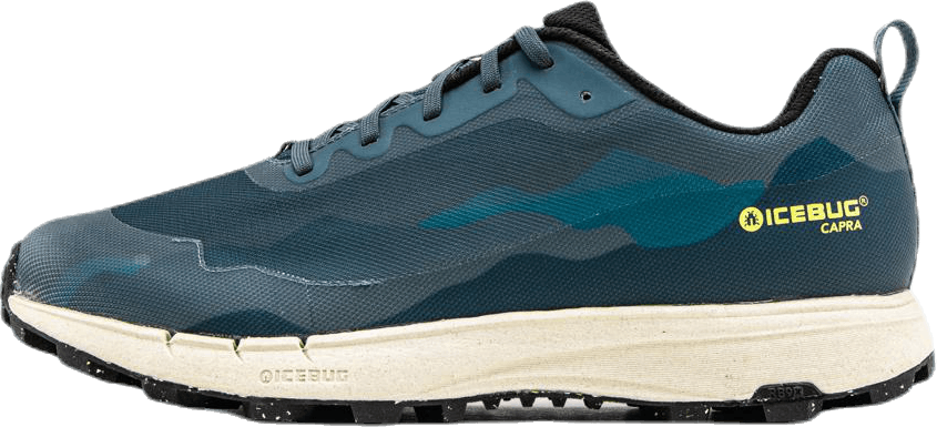 Capra RB9X Blue, Male, Skor, Löparskor, Löpning, Blå, EU 41,5