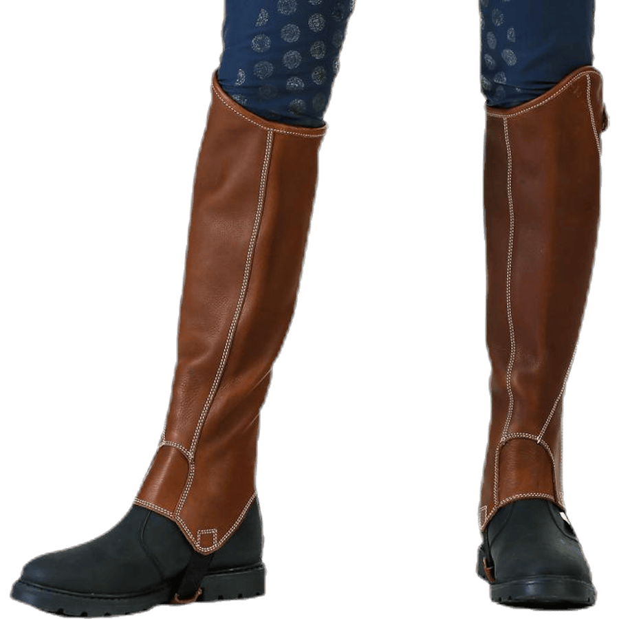 Shortchaps Santiani Brown