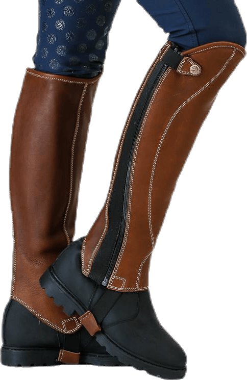 Shortchaps Santiani Brown - Bild 4