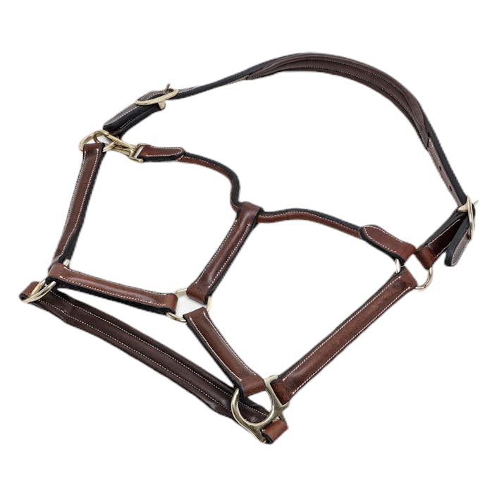 Leather Halter Cancun Brown, Unisex, Equipment, equestrian, Equestrian sports, Brown, Cob