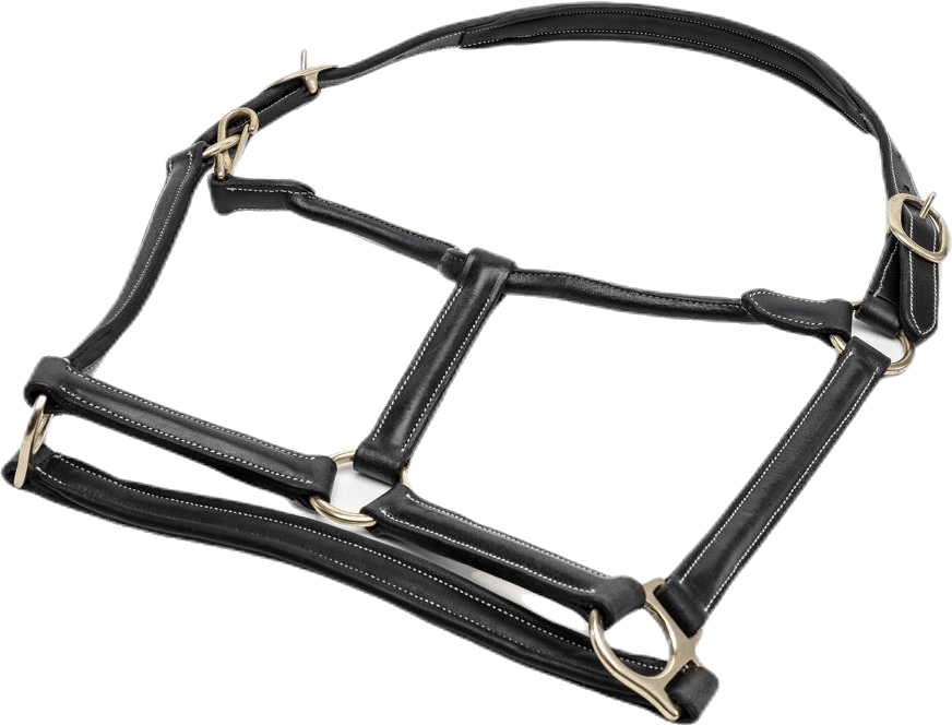 Leather Halter Cancun Black