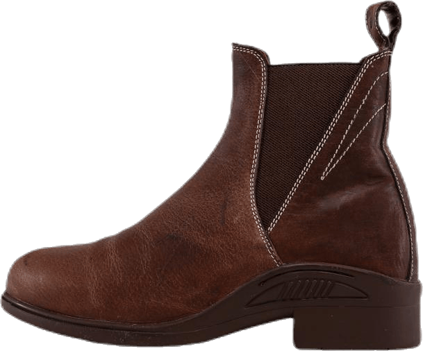 Jodhpur Sephora Brown, Female, Buty, Botki i Sztyblety, Sporty jeździeckie, Brązowy, EU 36