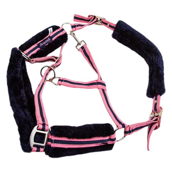 Pony Pals Halter Blue/Pink, Unisex, Equipment, equestrian, Equestrian sports, Blue/Pink, Ponny