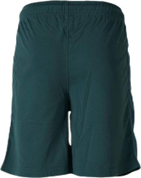 Shorts X-Cool Green - Bild 3
