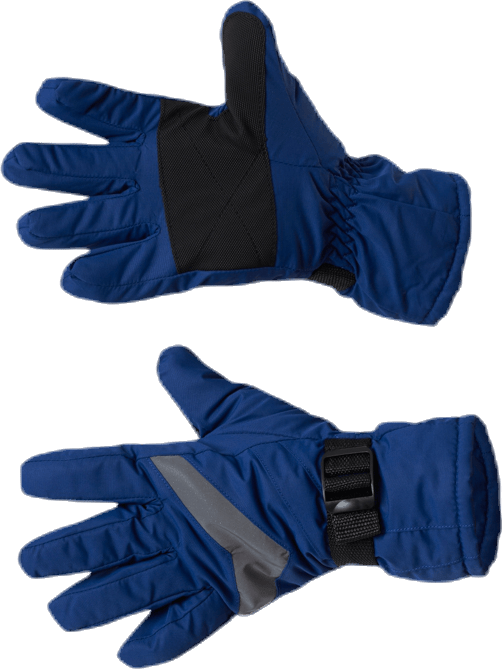 Dundret Gloves Blue