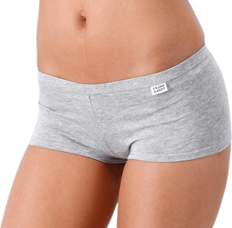 Bamboo Legend Boxer Grey, Female, Kläder, Underkläder, Grå, XL