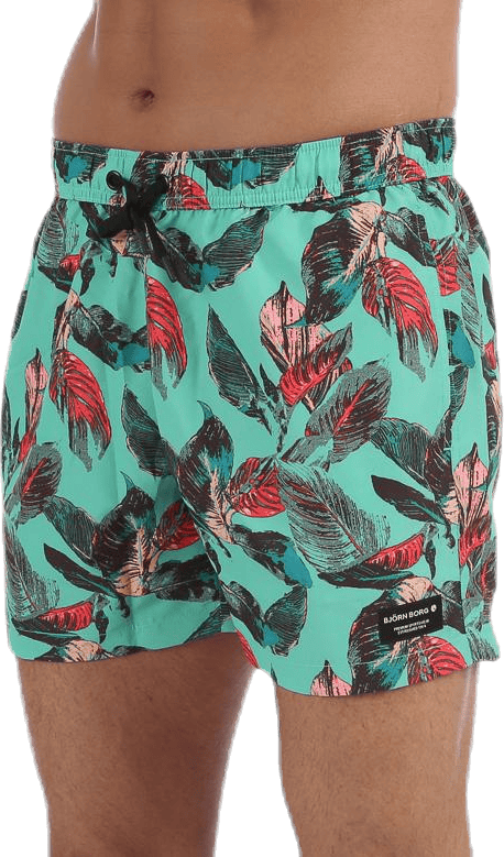 Sylvester Swimshorts Blue/Pink/Green