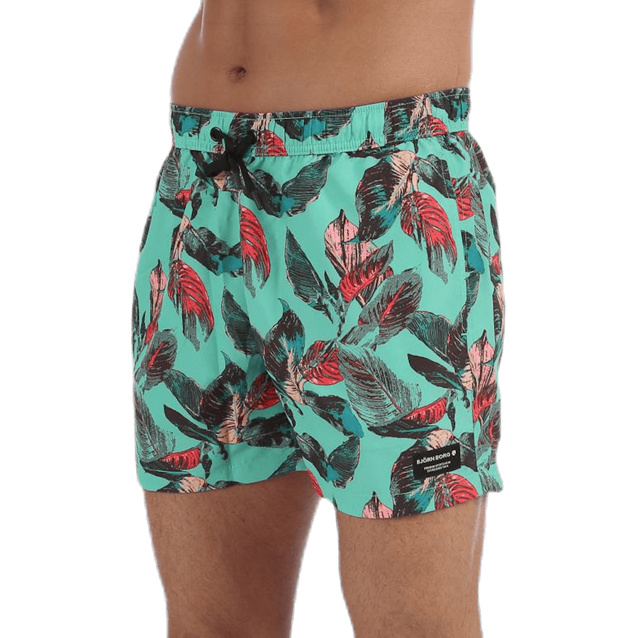 Sylvester Swimshorts Blue/Pink/Green