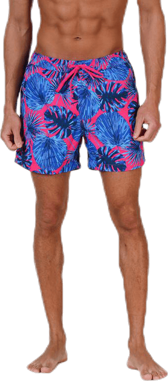 Sylvester Shorts Patterned, Male, Apparels, Swimwear, Swimming, Patterned, L