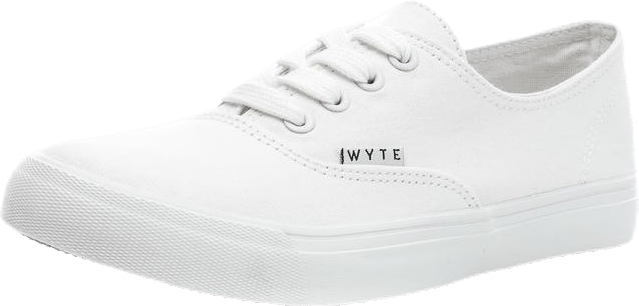 Robin White - Bild 3