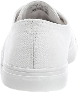 Robin White - Bild 4