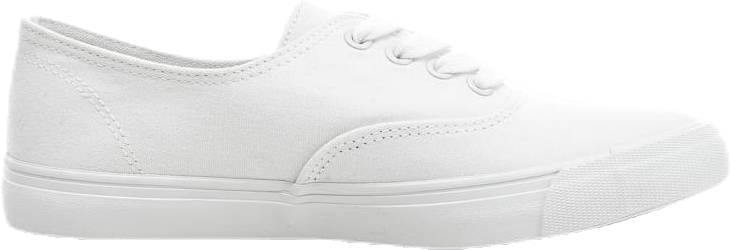 Robin White - Bild 5