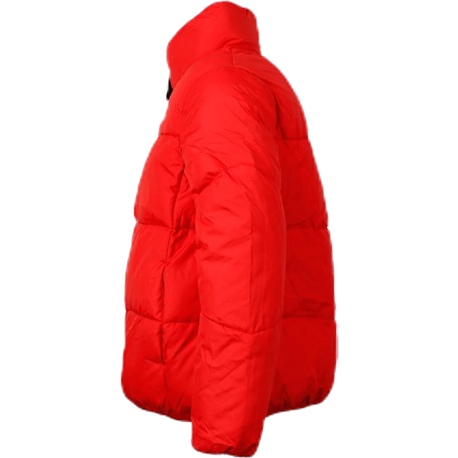 Junior Edith Red - Bild 2