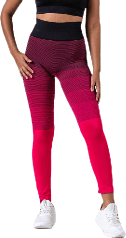 Gradient Seamless Tights Pink