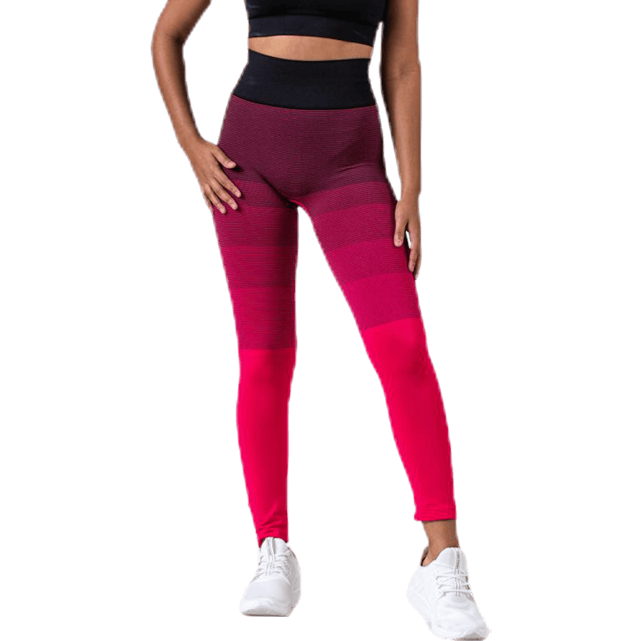 Gradient Seamless Tights Pink