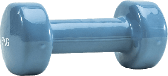 Dumbbell 1x3kg Blue, Unisex, varusteet, Harjoituslaitteet, Treeni, Sininen, ONESIZE