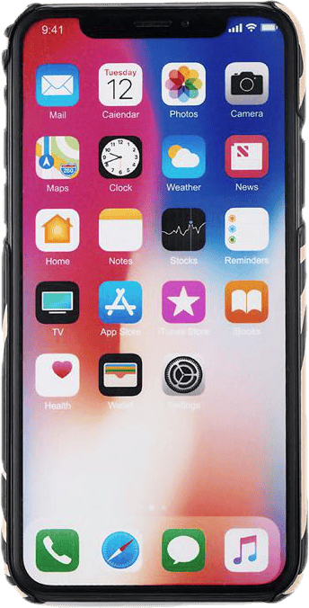 Paris Zebra iPhone X/XS Black/Beige - Bild 3