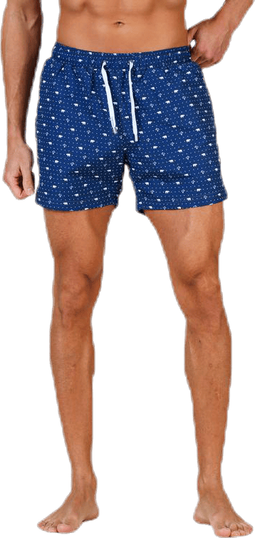 Polar Apollo Blue - Bild 2