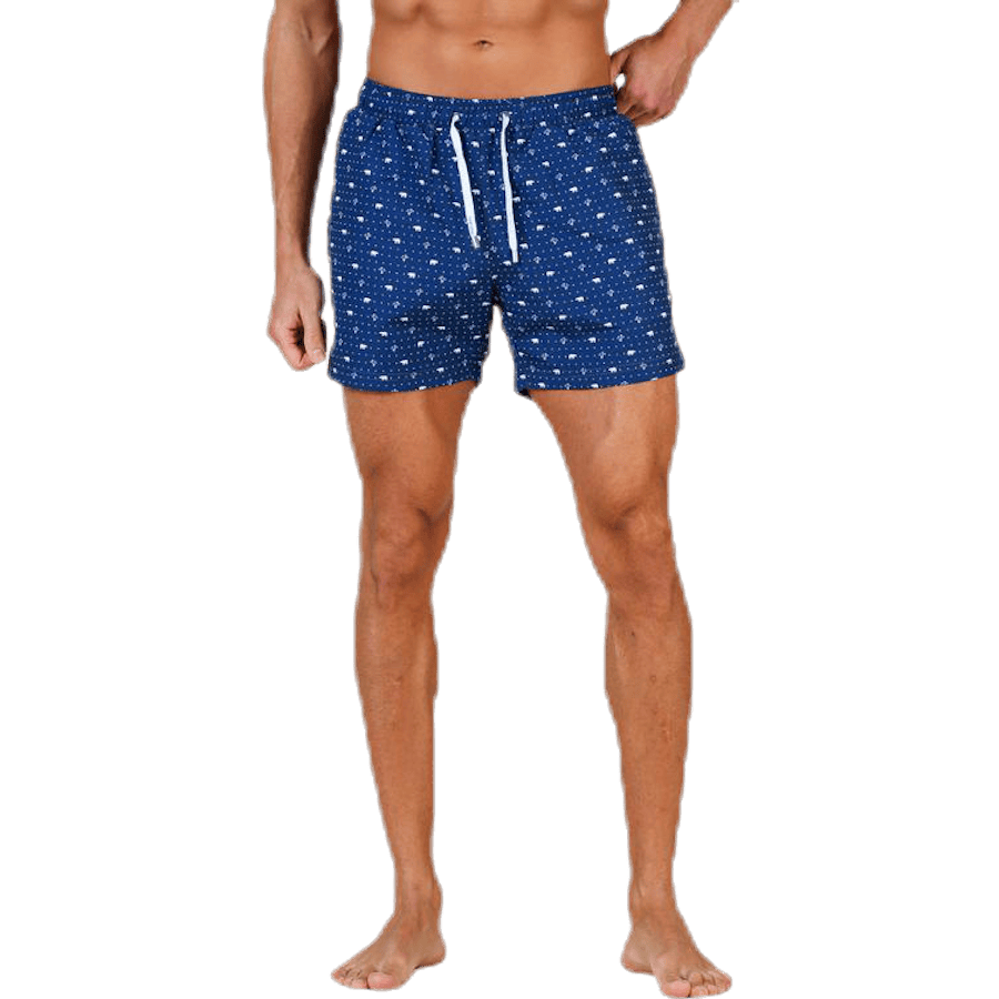Polar Apollo Blue - Bild 2