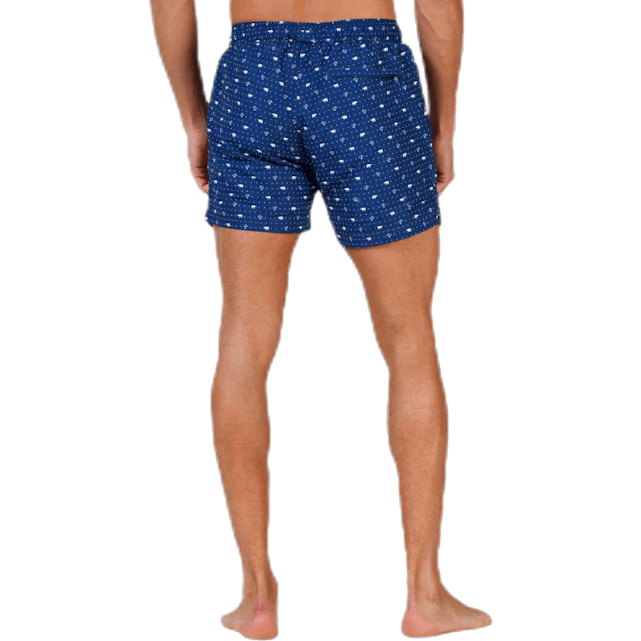 Polar Apollo Blue - Bild 3