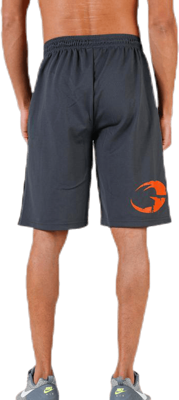 Pro mesh shorts Grey - Bild 3