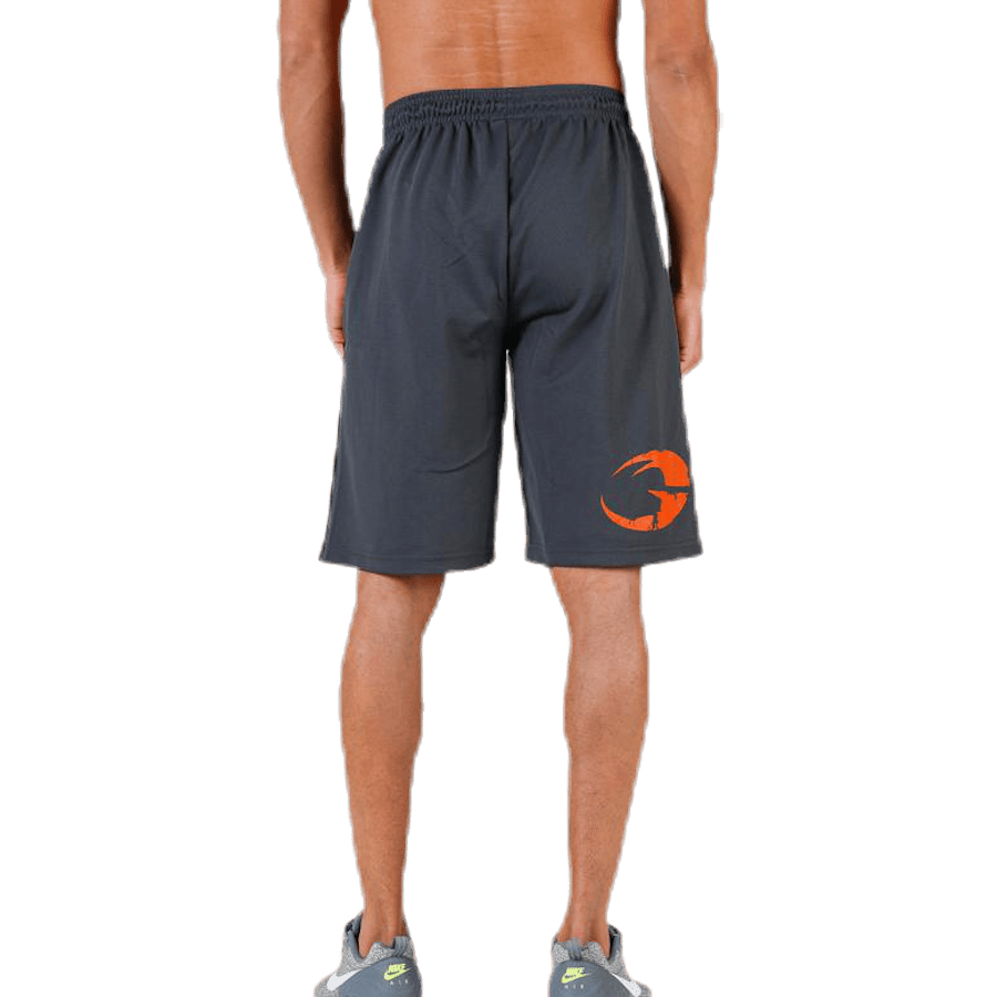 Pro mesh shorts Grey - Bild 3