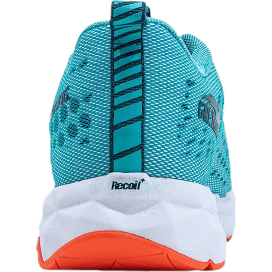 Greyhound Blue/White