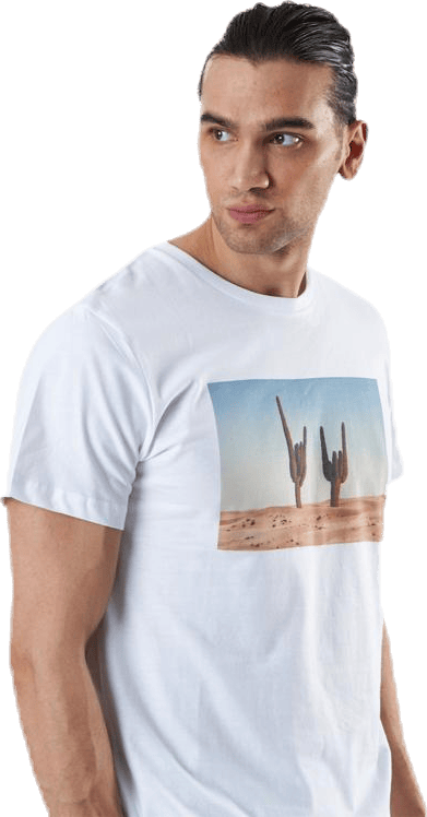 Stockholm Cactus Sign White - Bild 3