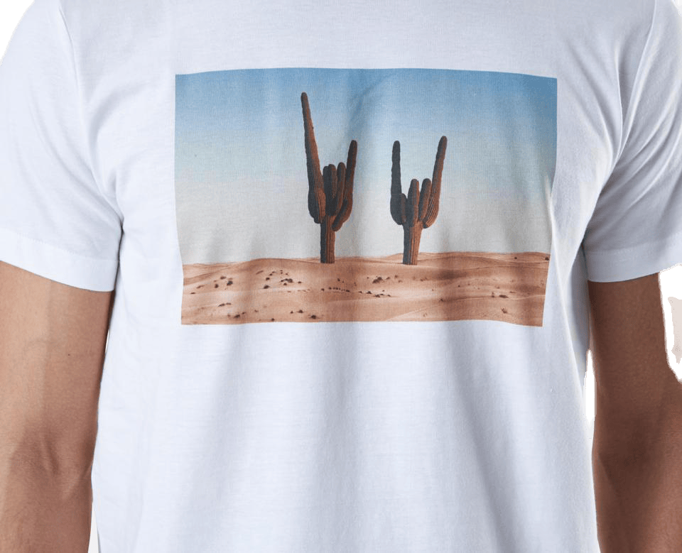 Stockholm Cactus Sign White - Bild 4