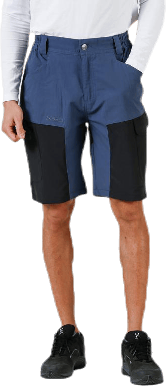 Arizona Shorts Blue