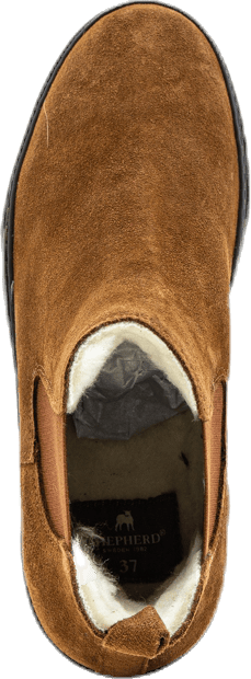 Amber Brown - Bild 5